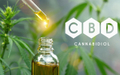 featured image thumbnail for post CBD Dosage in Perspective